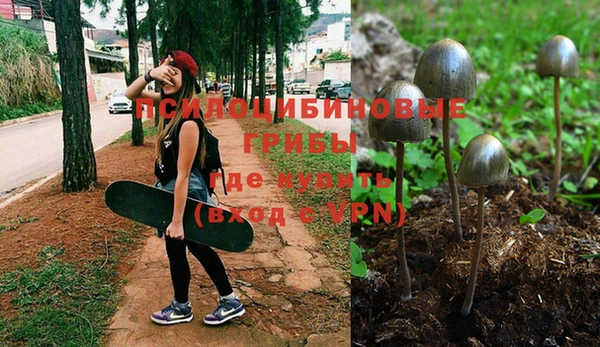 герыч Богородицк