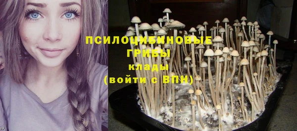 герыч Богородицк