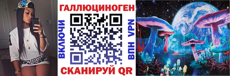 Галлюциногенные грибы Cubensis Плёс